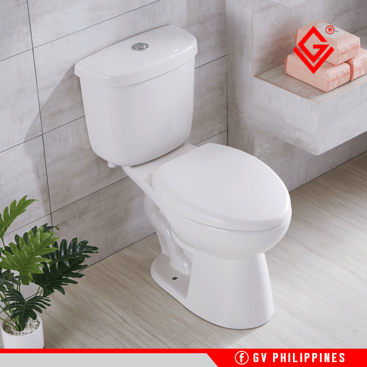 GV WS990 ECONOMIC TOILET Luzon Foundry Inc.
